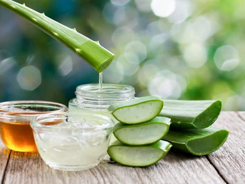 Aloe for Reflux